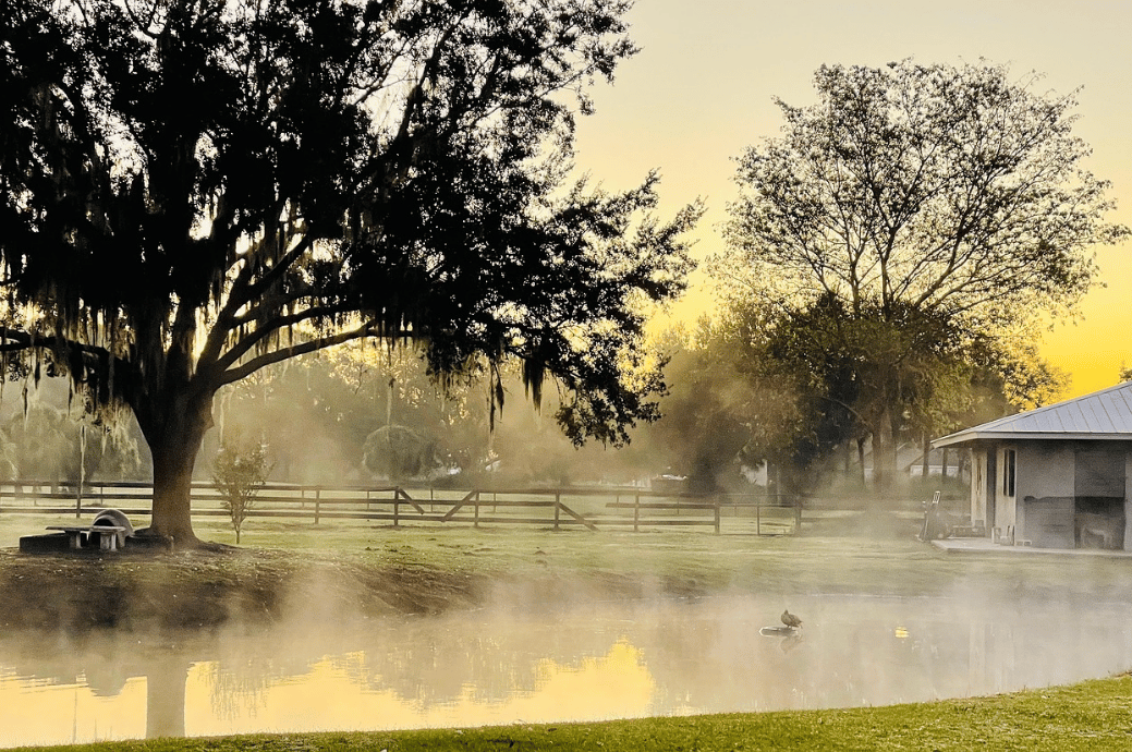 Morning view in a countryside