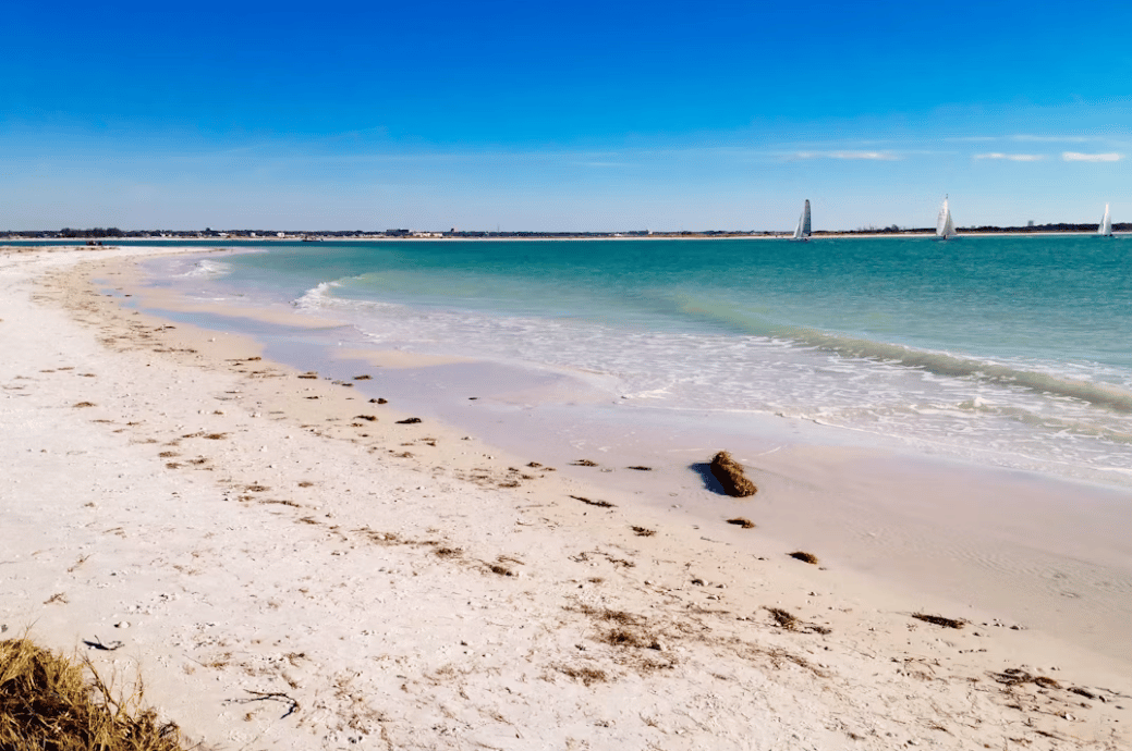 Beach at Honeymoon Island in Dunedin, Florida